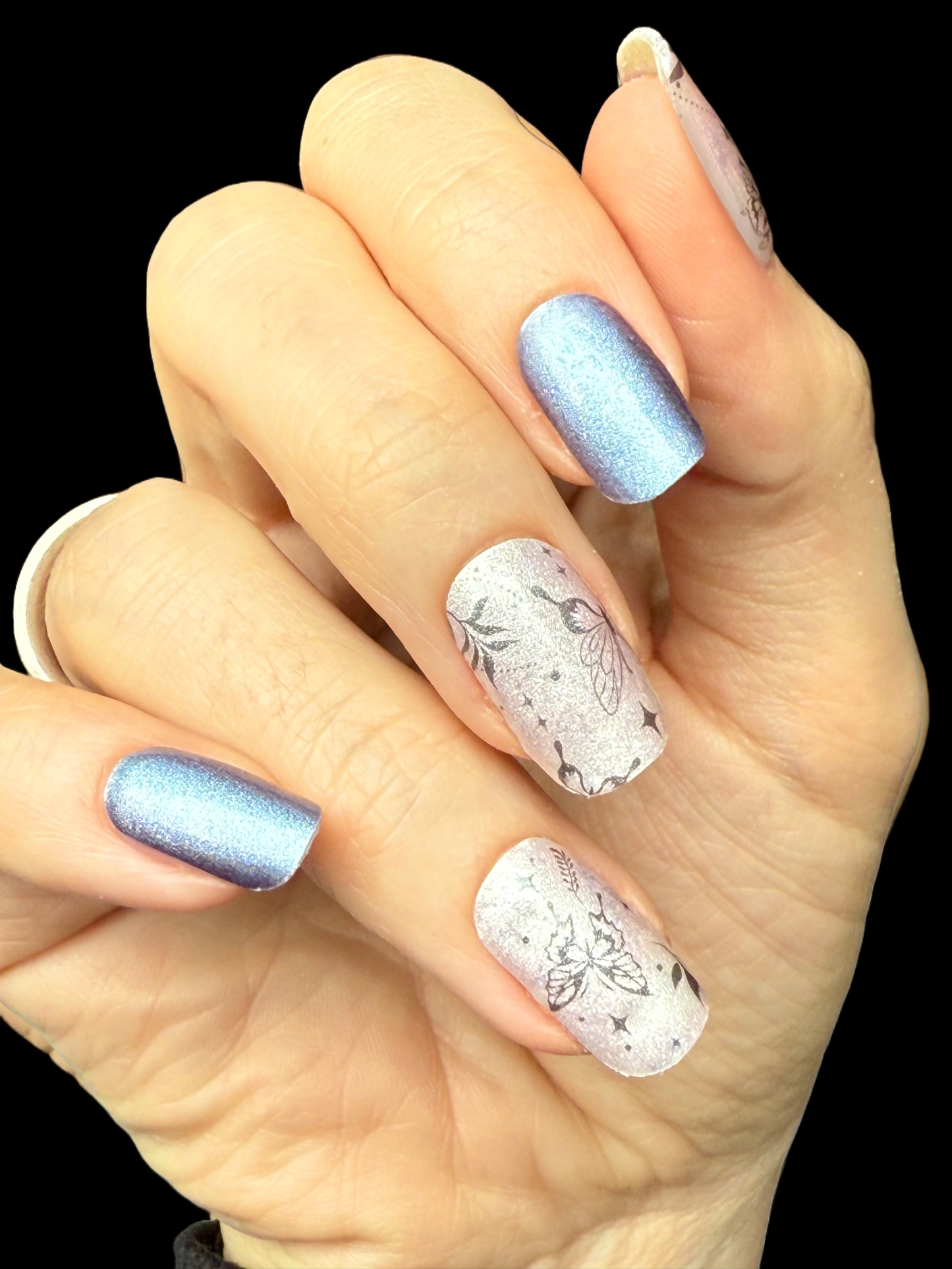 Blue Papillon 16er