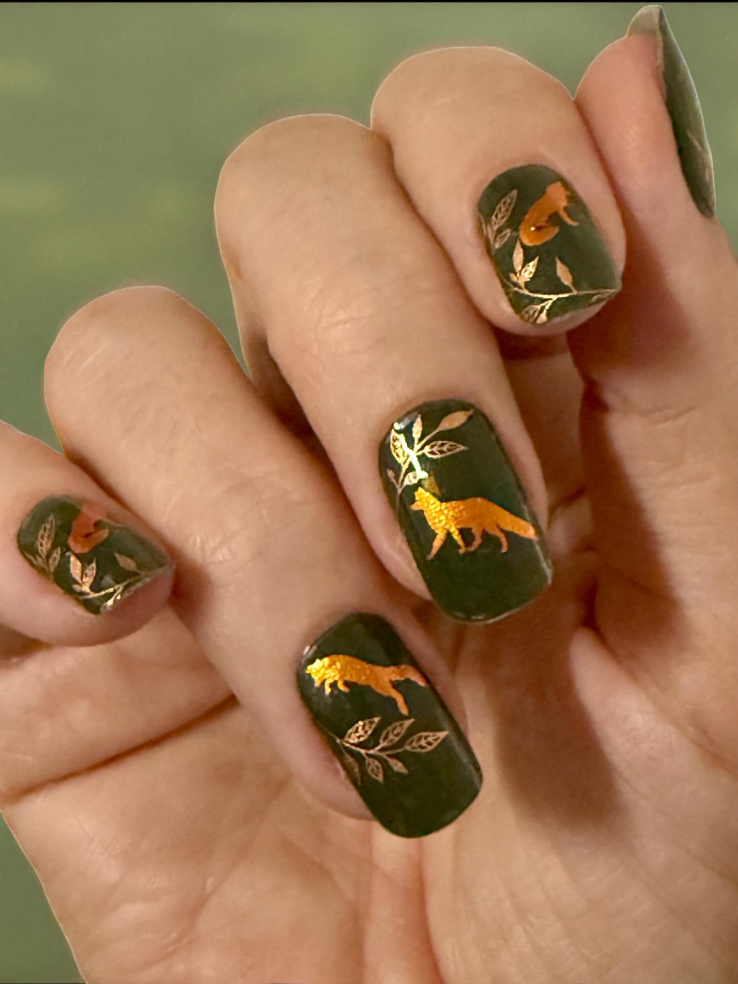 Foxy Lady 16er Overlay