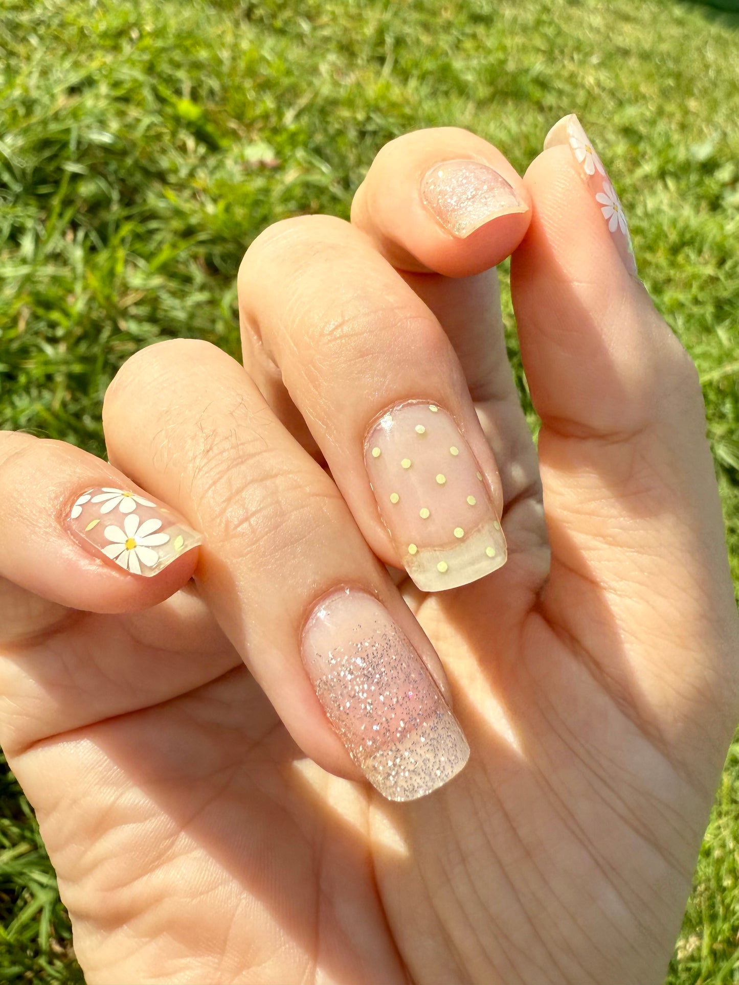 UV Dots And Daisies 20er