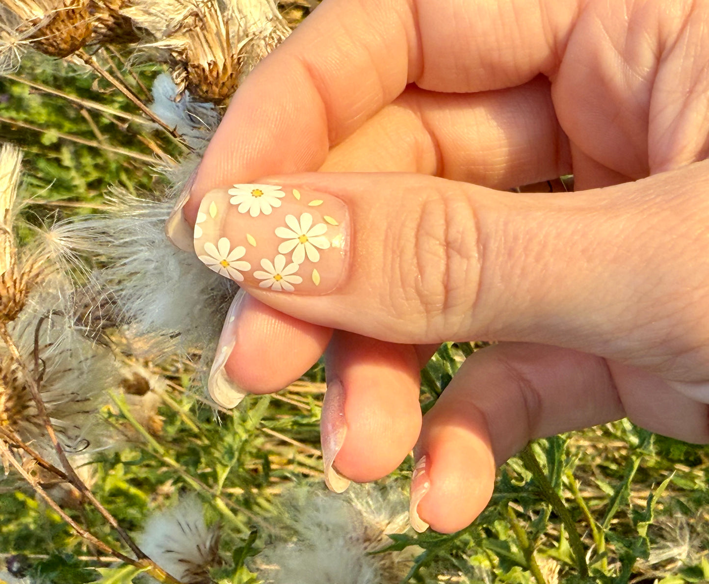 UV Dots And Daisies 20er