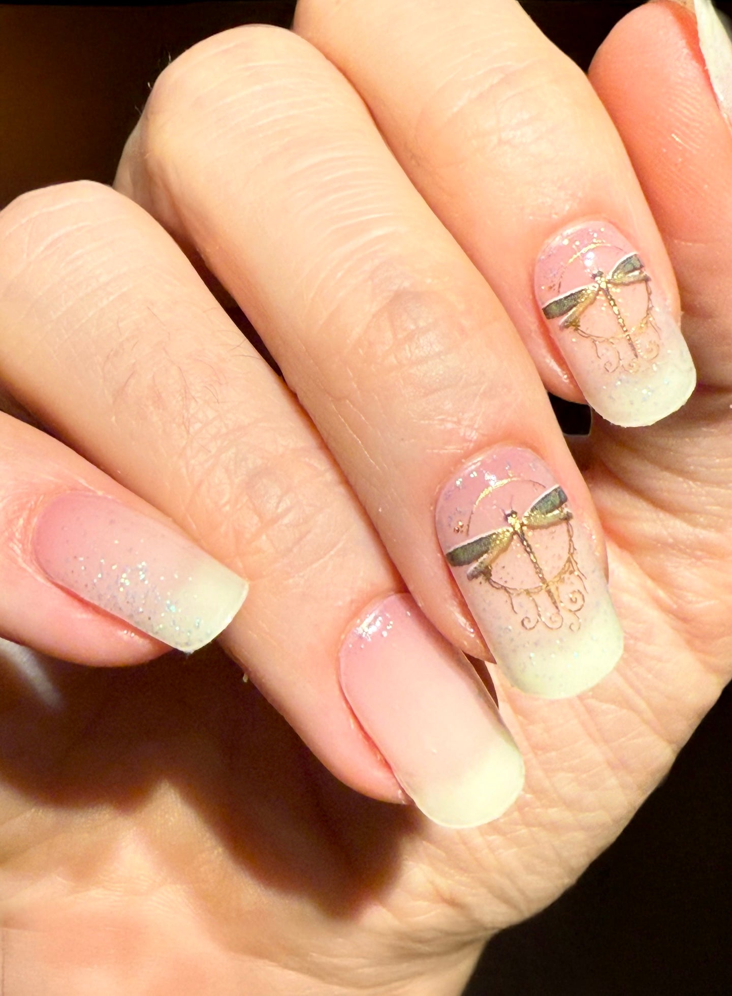 Jilly’s Dragonfly 16er Overlay