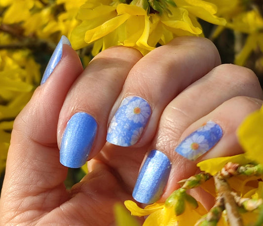 Blue Margarethe 16er