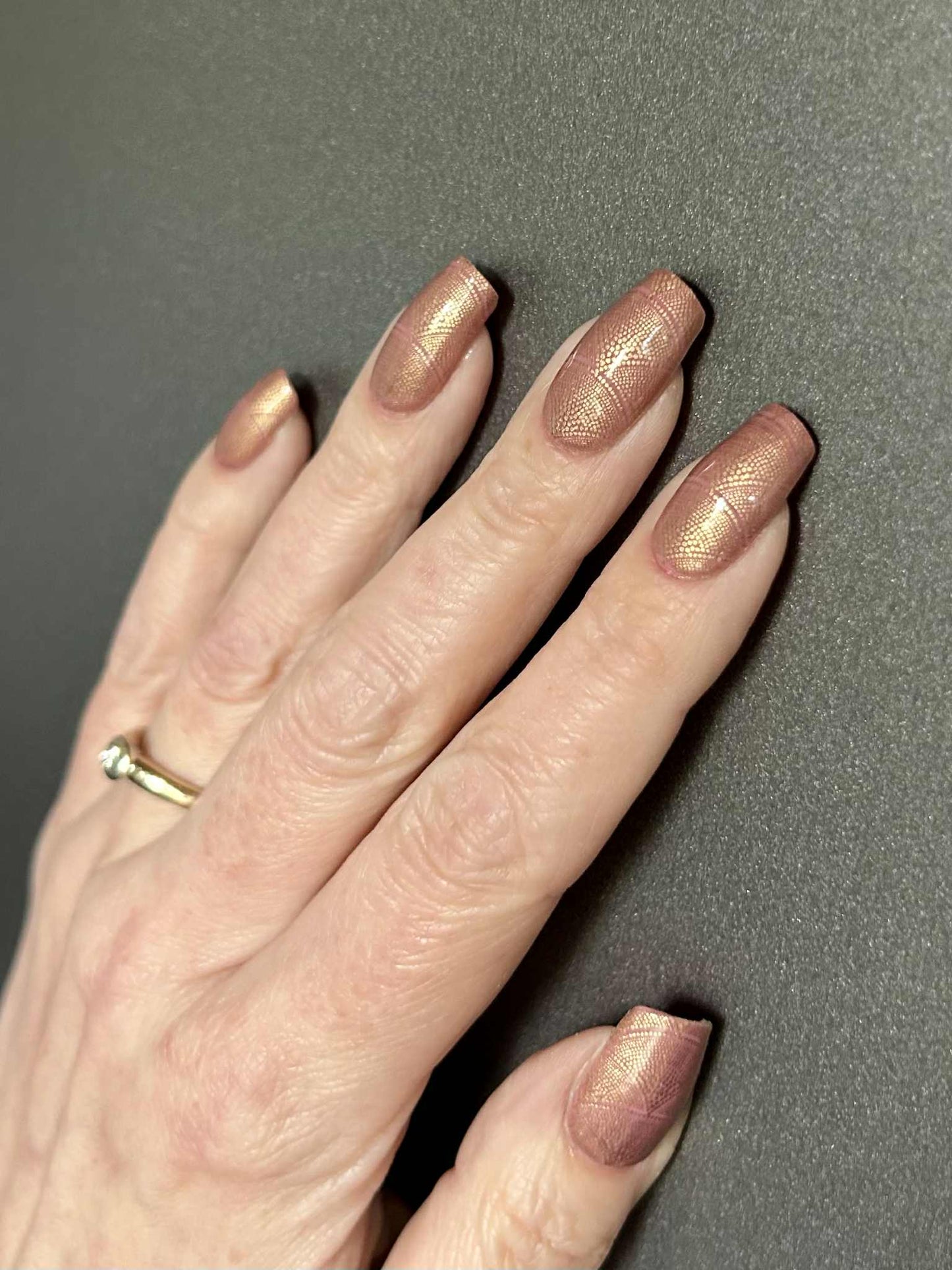 Golden Shell 16er Overlay