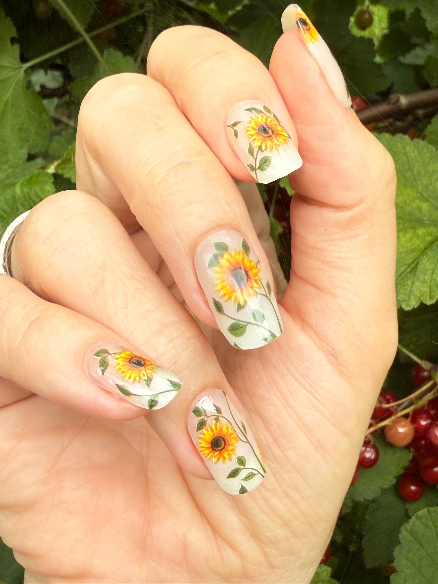 Sunflower Power 16er Overlay