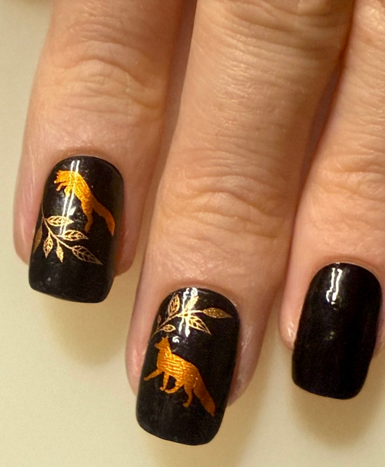 Foxy Lady 16er Overlay