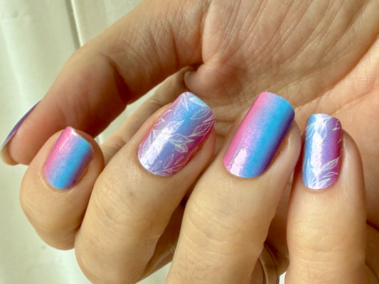 Dream Petals 16er