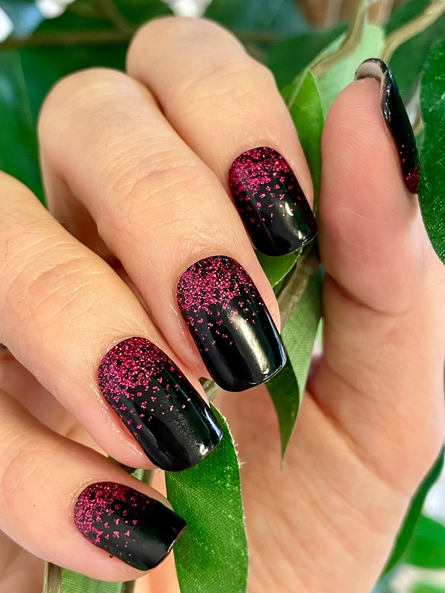 Pink Noir 16er
