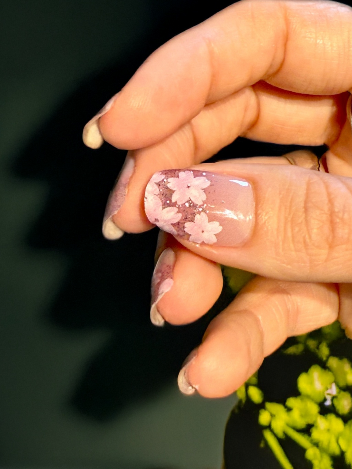 Blush&Bloom 16er