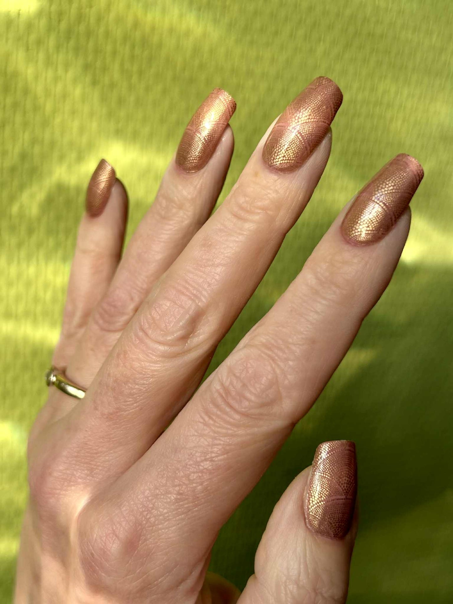Golden Shell 16er Overlay
