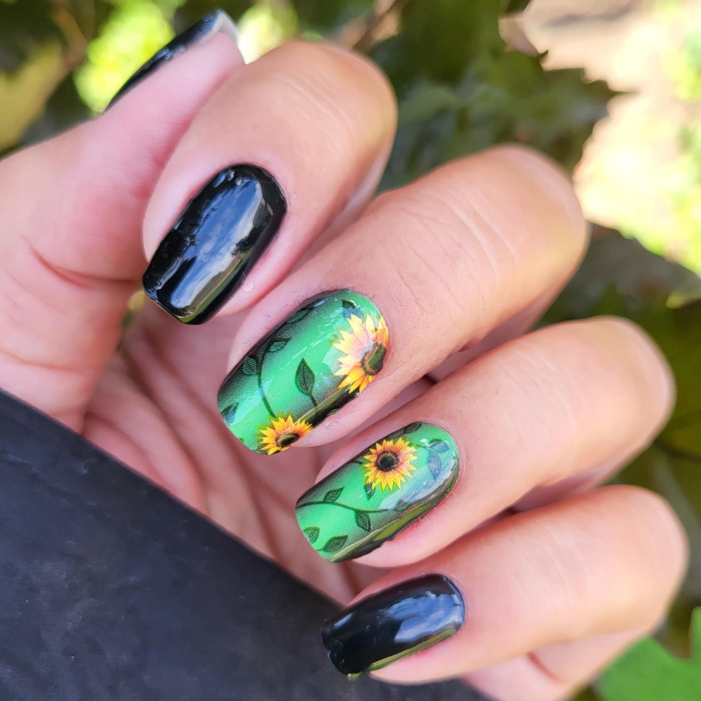 Sunflower Power 16er Overlay