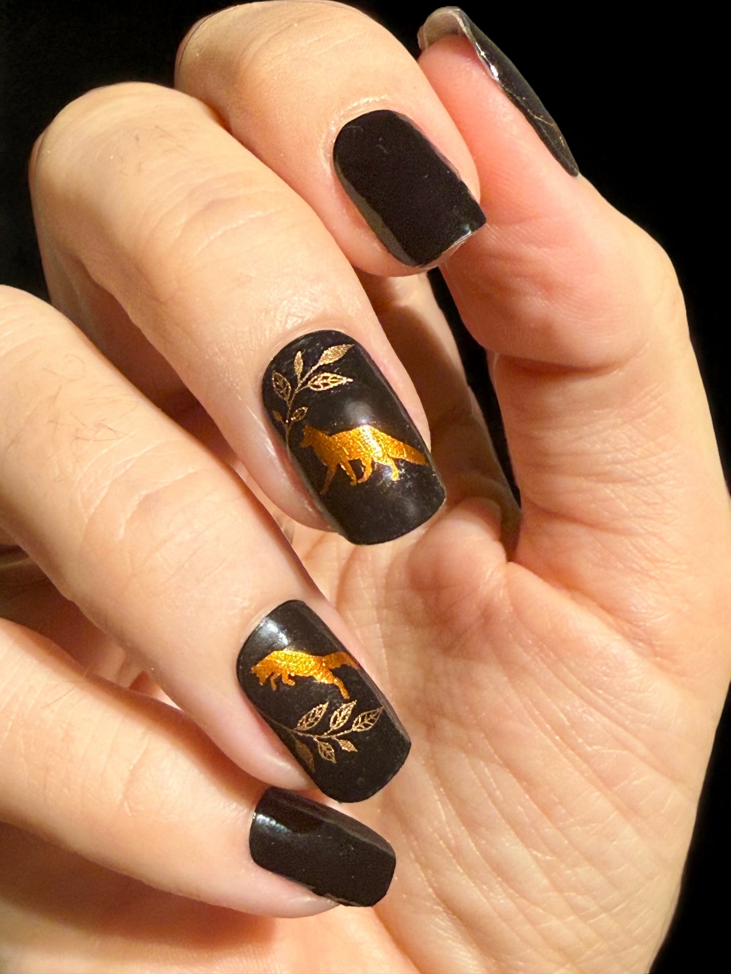 Foxy Lady 16er Overlay