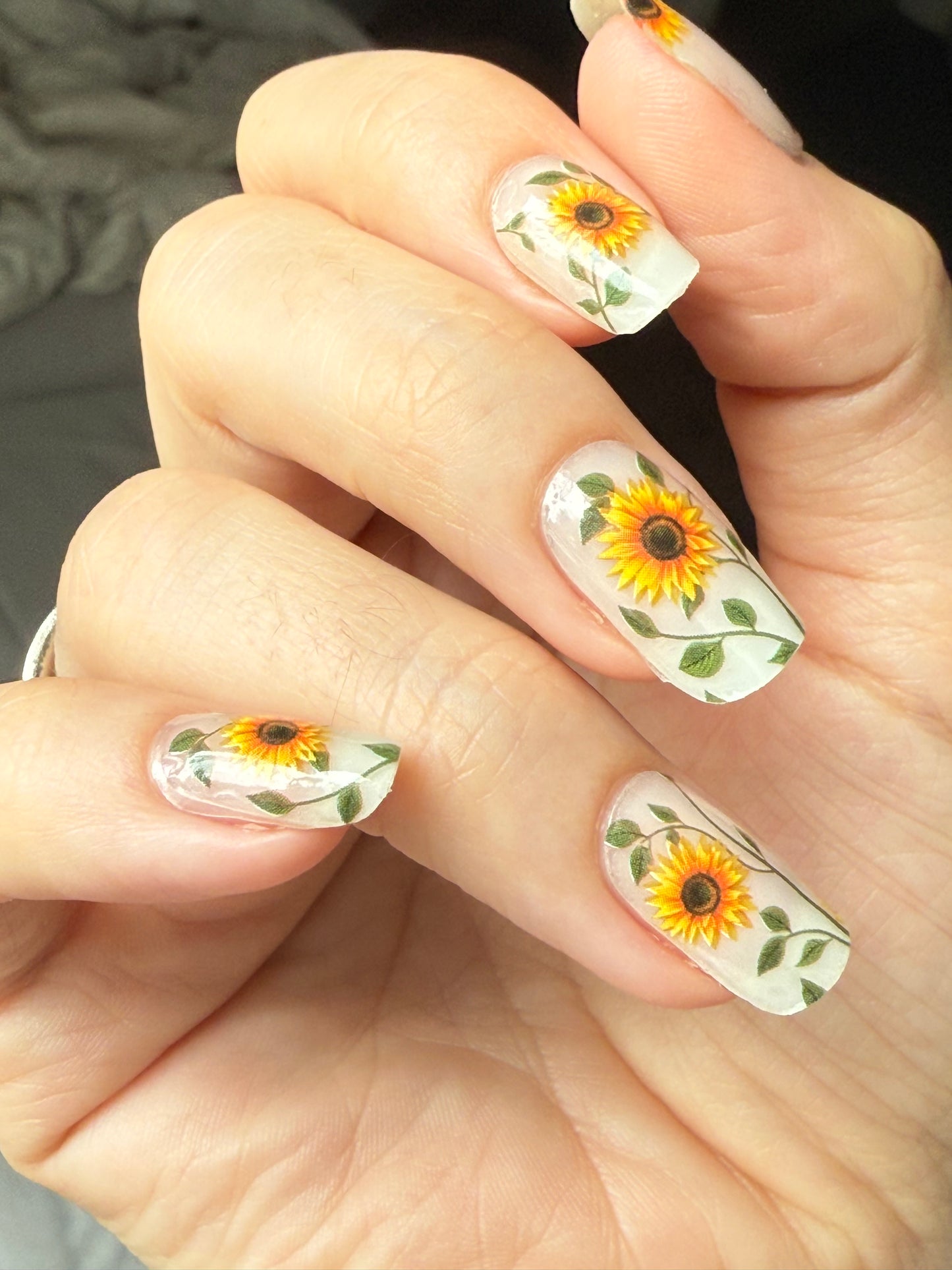Sunflower Power 16er Overlay