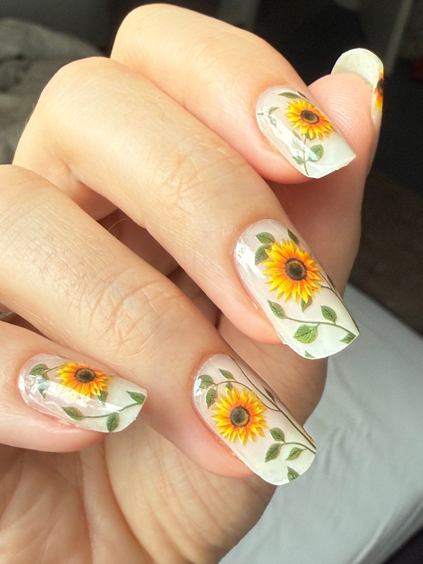 Sunflower Power 16er Overlay