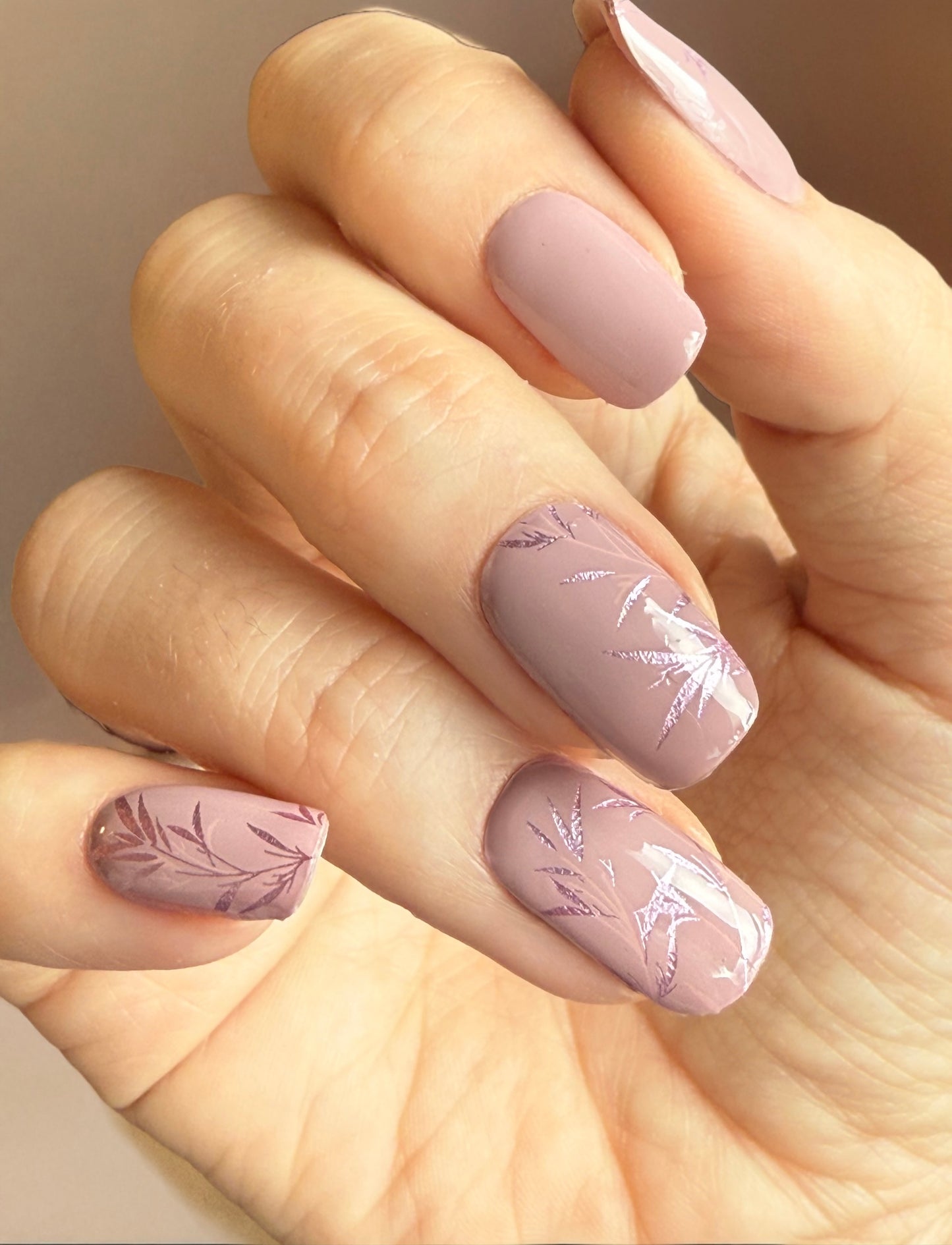 Mauve Whispers 16er