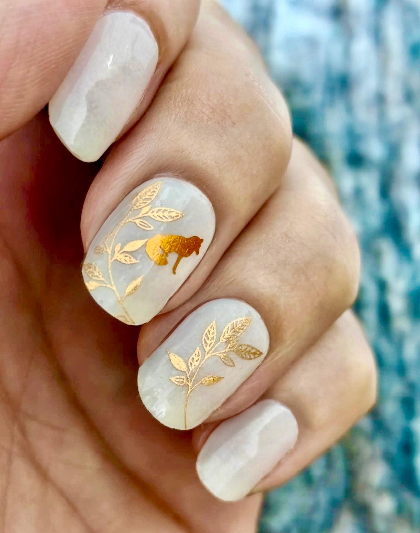 Foxy Lady 16er Overlay