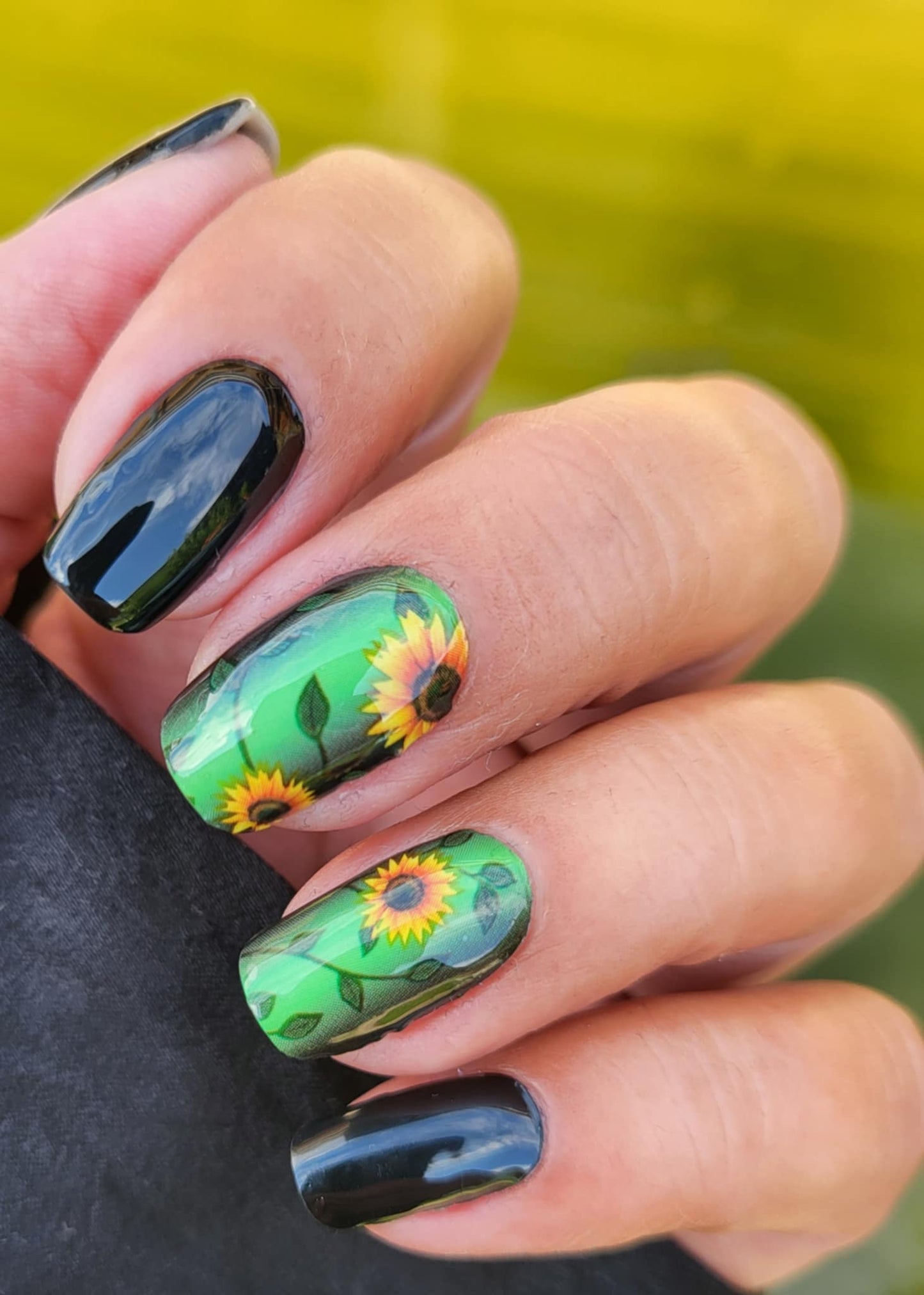 Sunflower Power 16er Overlay