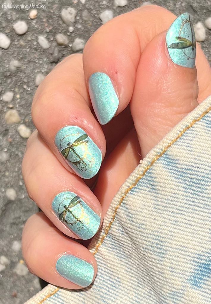 Jilly’s Dragonfly 16er Overlay