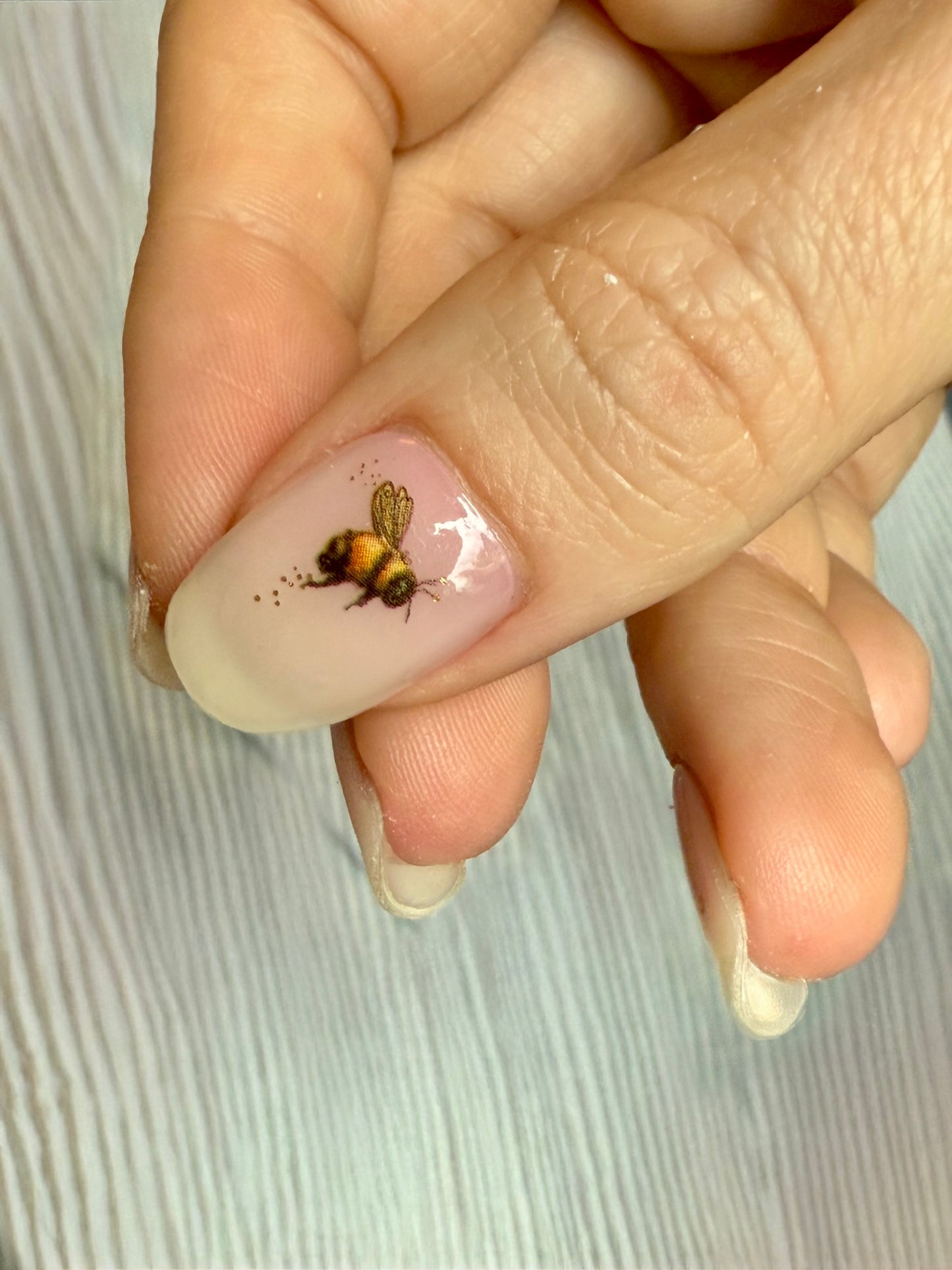 Jilly’s Bumblebee 16er Overlay