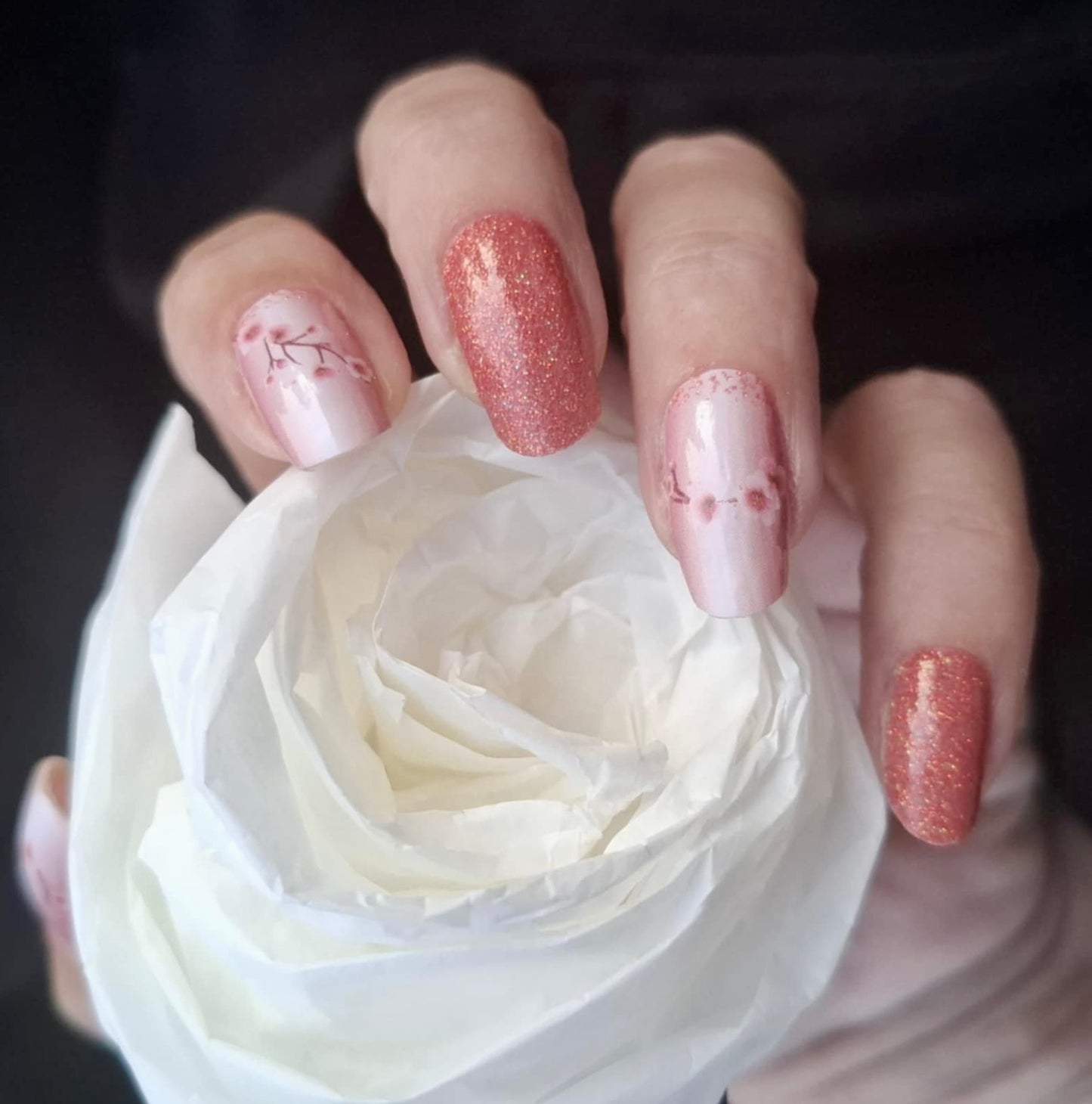 Sakura 16er