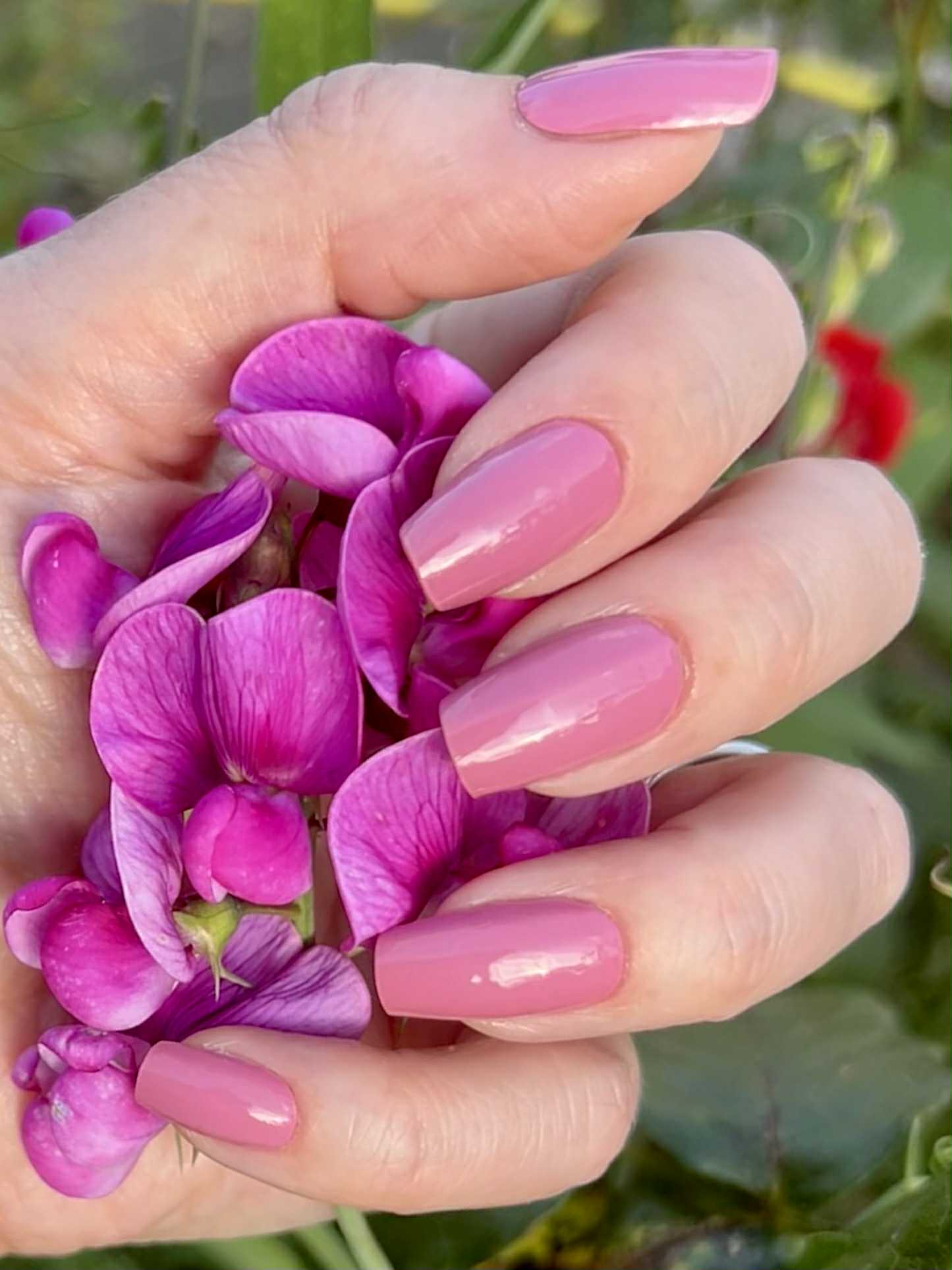 UV Redstone 16er-Blush&Cherry-Blush and Cherry - UV Gel Folien