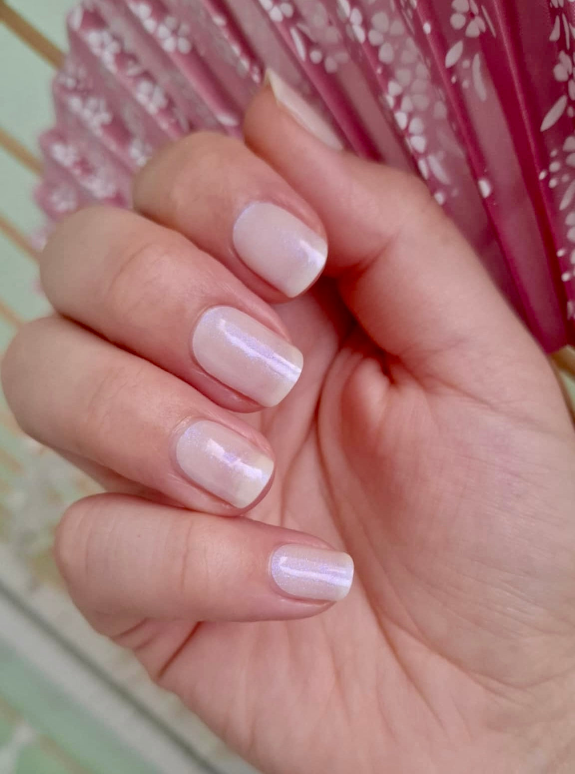 UV Opal 16er