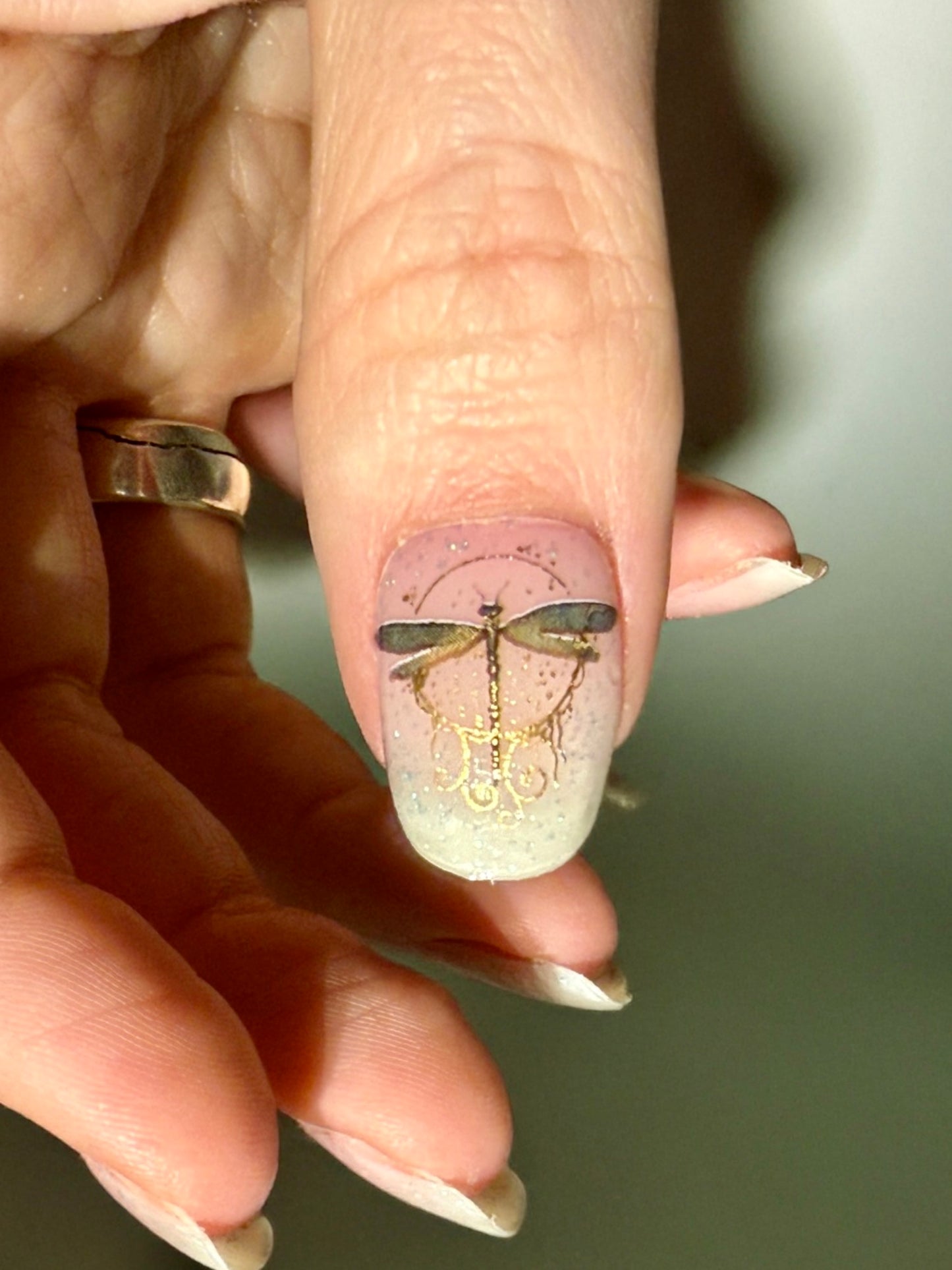 Jilly’s Dragonfly 16er Overlay