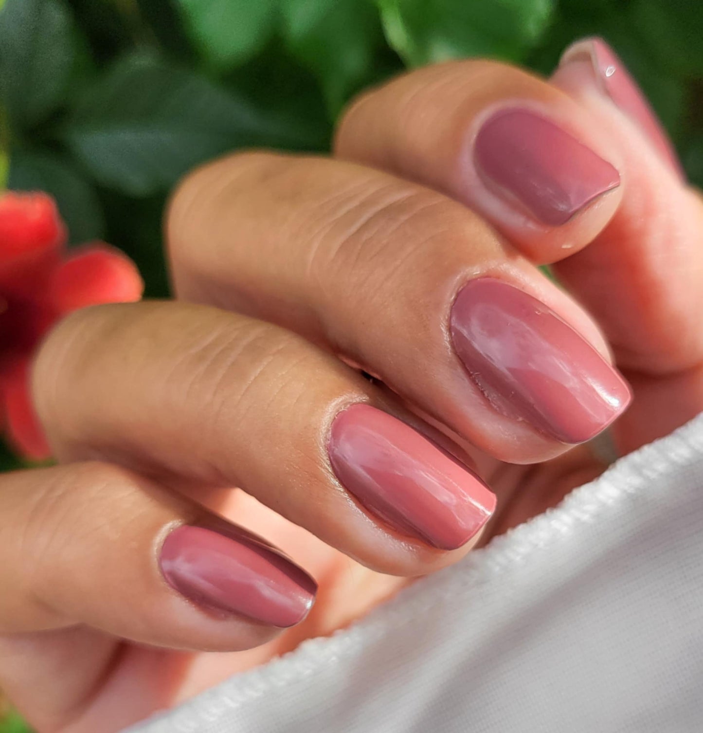UV Elegancia 20er-Blush&Cherry-Blush and Cherry - UV Gel Folien