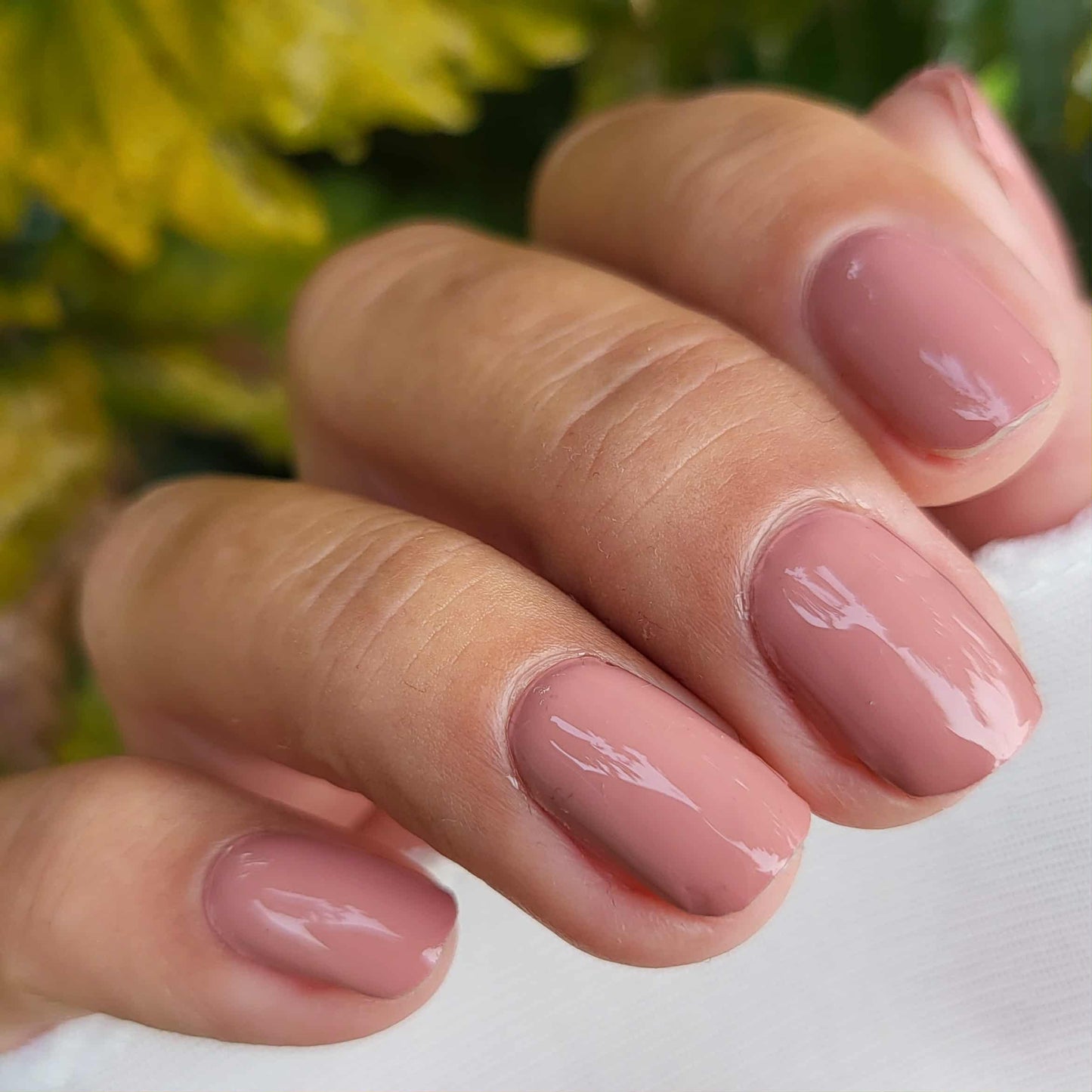 Antique Pink 16er