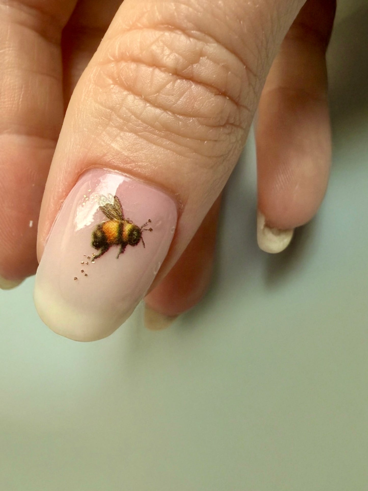 Jilly’s Bumblebee 16er Overlay
