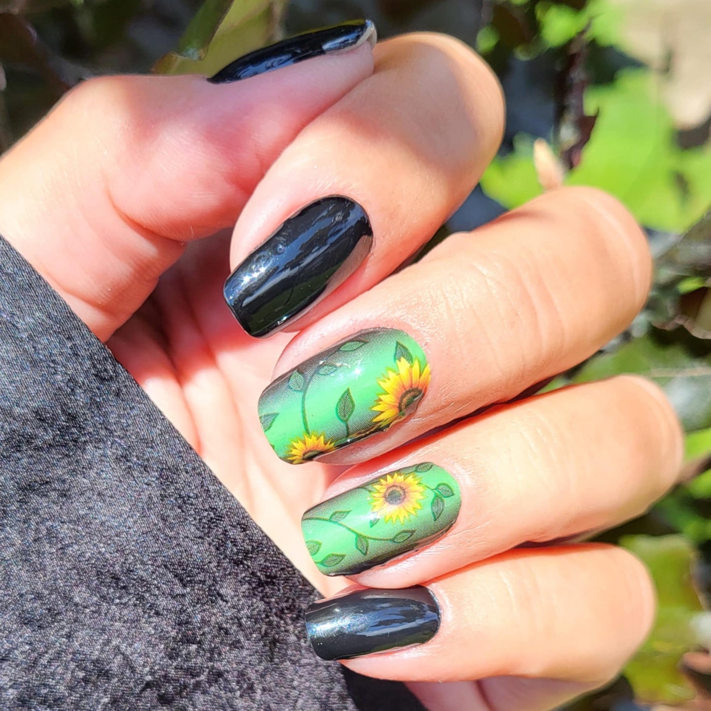 Sunflower Power 16er Overlay
