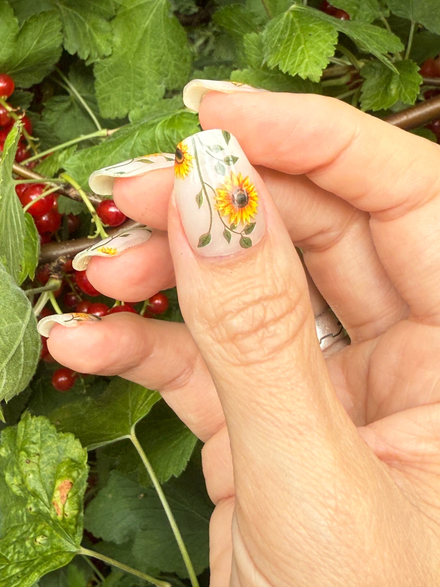 Sunflower Power 16er Overlay