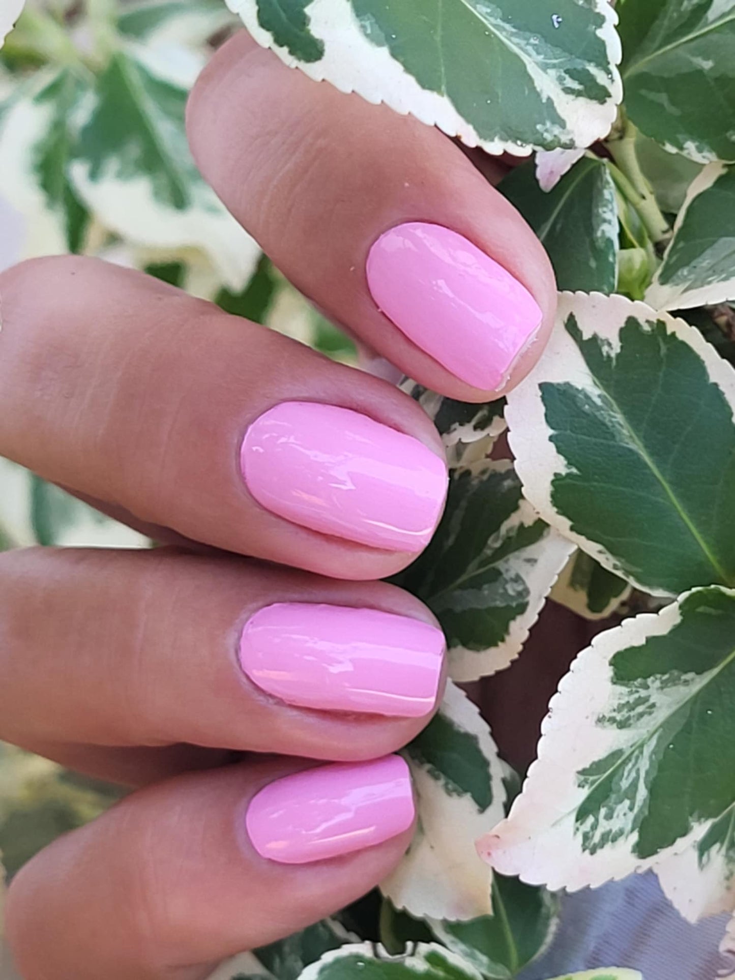 Uni Pink 16er
