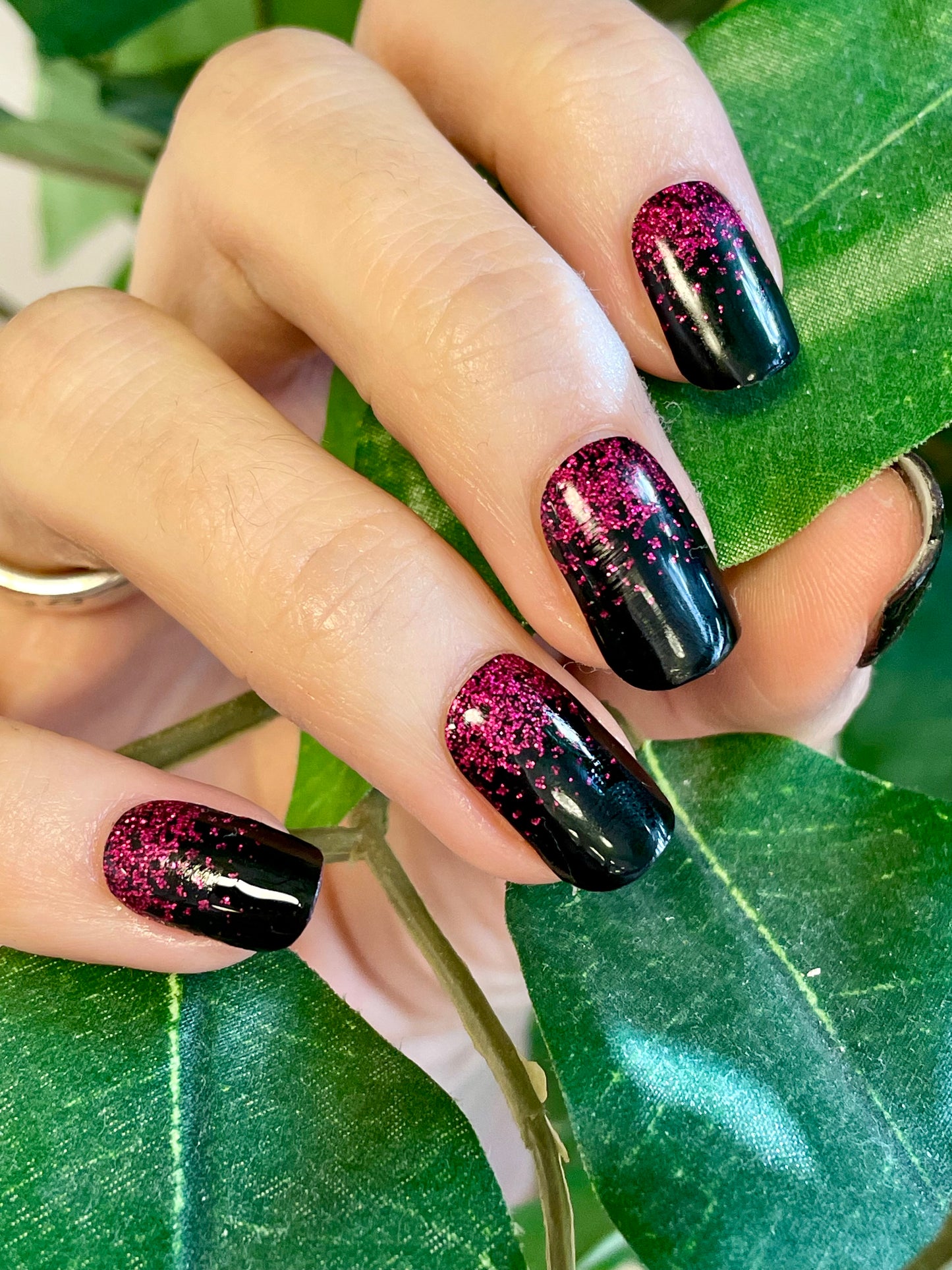 Pink Noir 16er