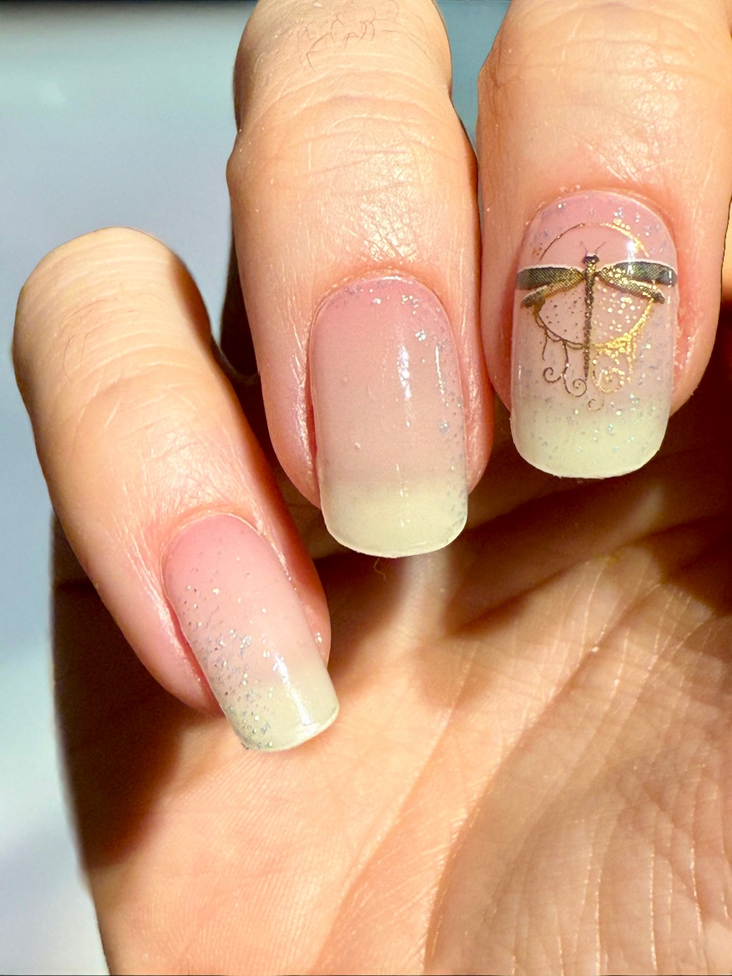 Jilly’s Dragonfly 16er Overlay