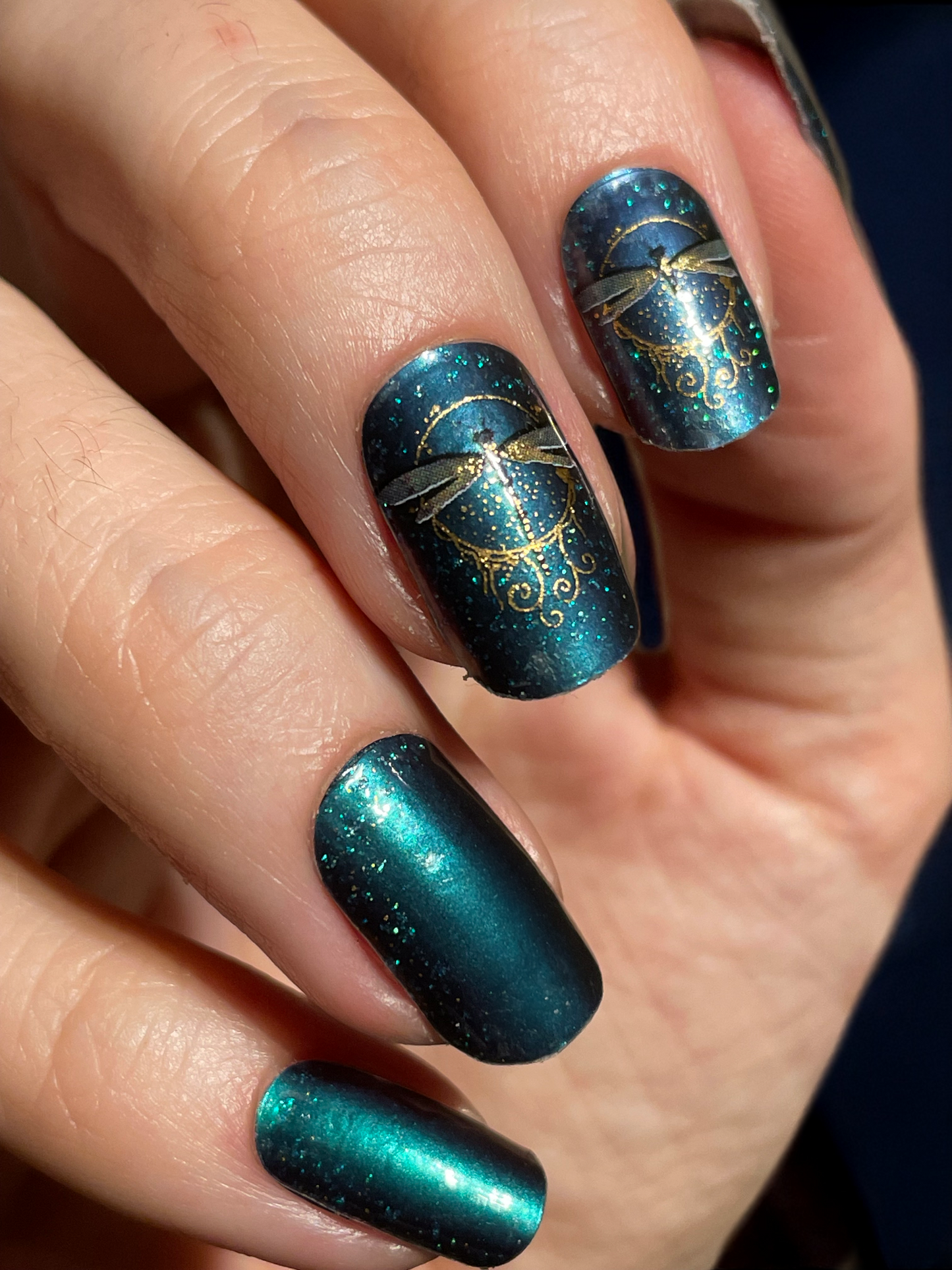 Jilly’s Dragonfly 16er Overlay