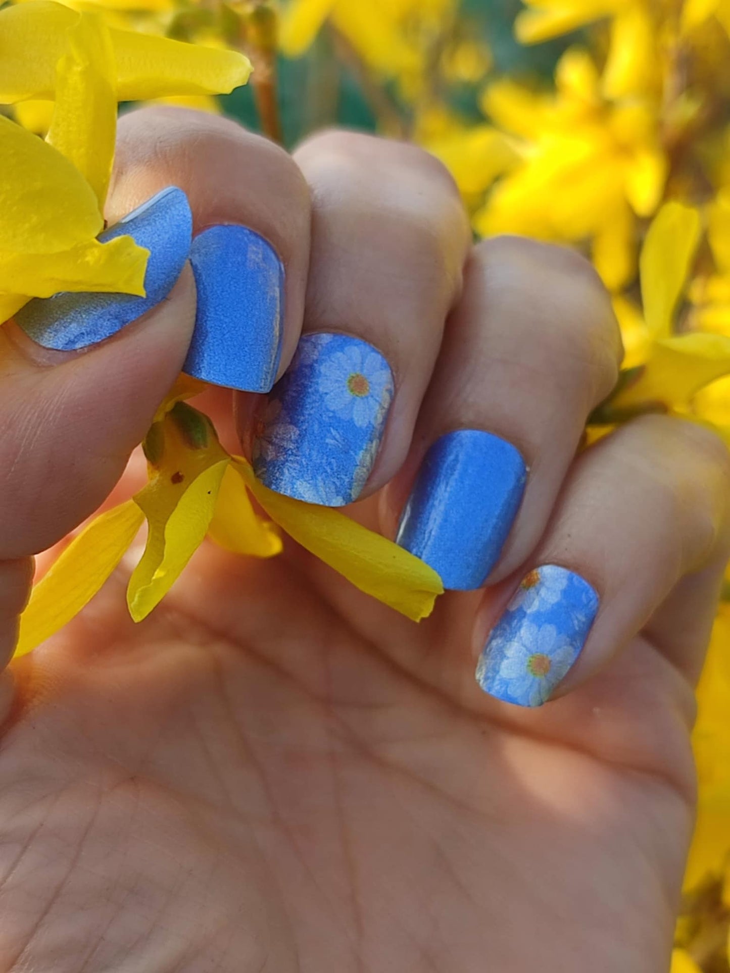 Blue Margarethe 16er