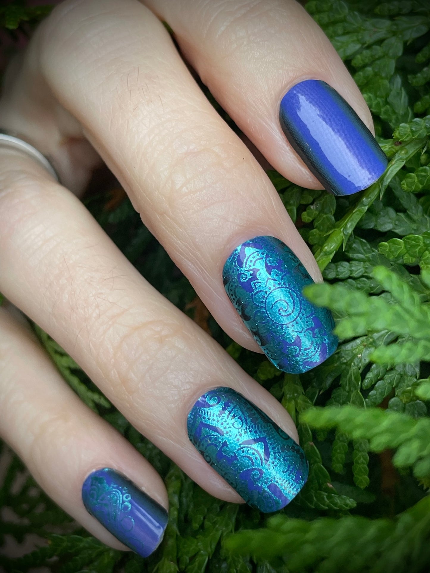 Sapphire Silk 16er-Blush&Cherry-Exklusiv-Blush&Cherry-Blush and Cherry-Nagelfolien-Non UV-Ohne UV