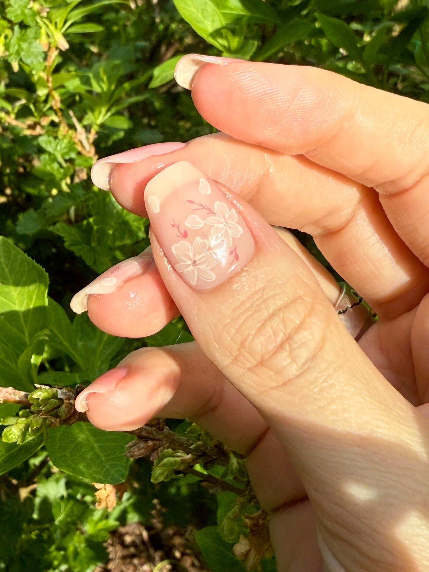 UV Linnea 16er-Blush&Cherry-Blush and Cherry - UV Gel Folien