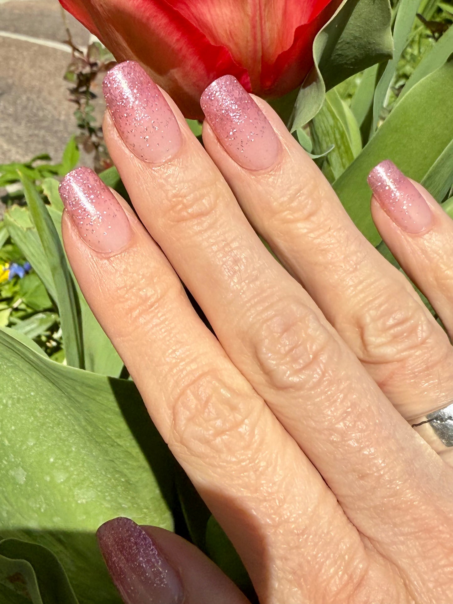 UV Cinderella 20er-Blush&Cherry-Blush and Cherry - UV Gel Folien