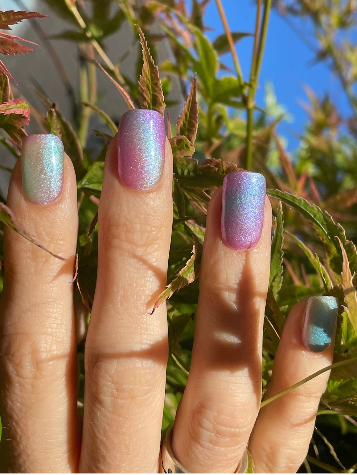 A Piece Of Prisma 16er-Blush&Cherry - Blush and Cherry - Nagelfolien ohne UV