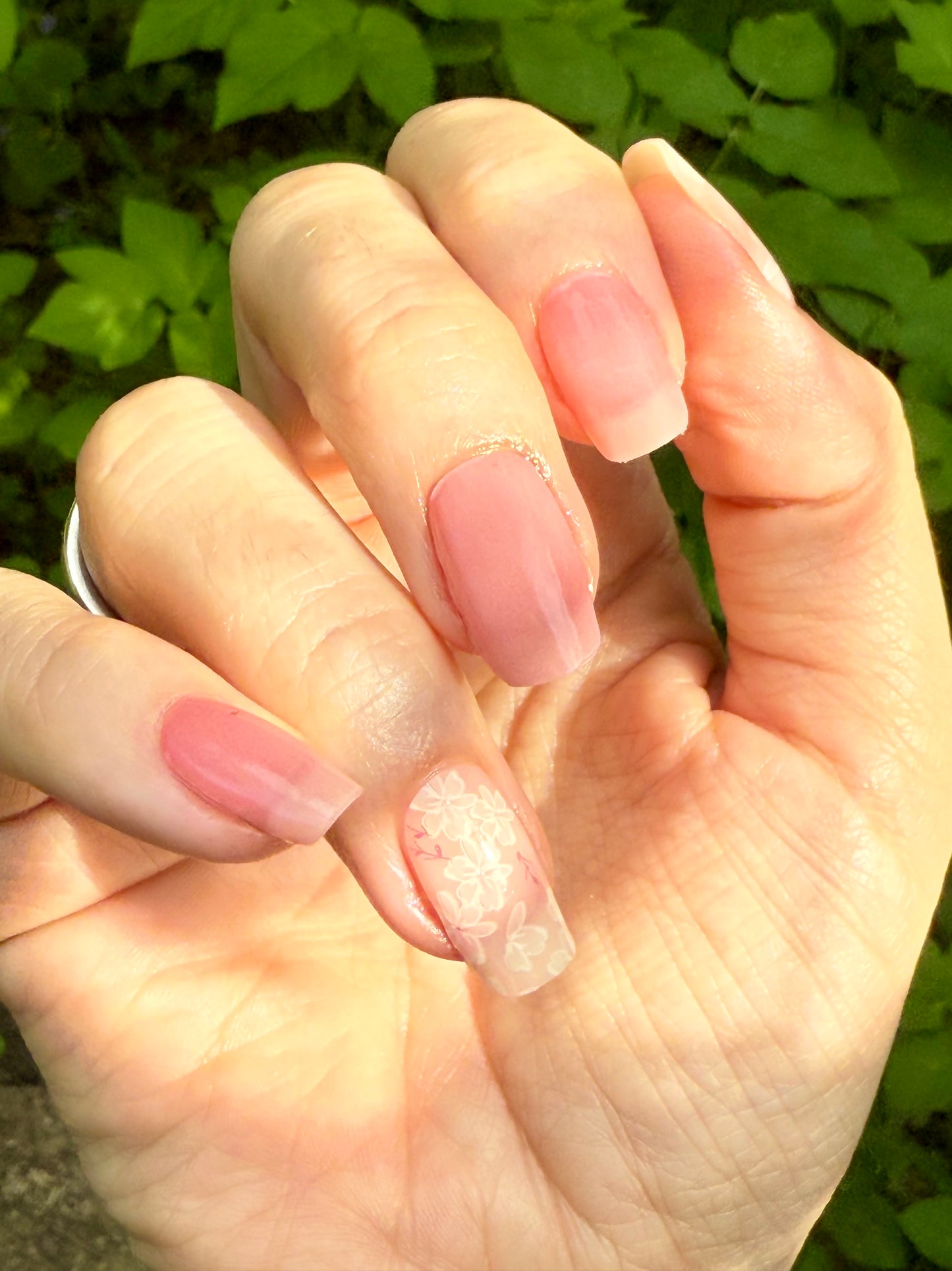 UV Linnea 16er-Blush&Cherry-Blush and Cherry - UV Gel Folien
