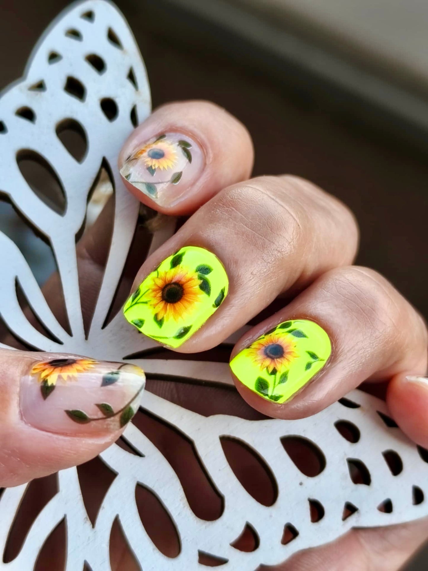 Sunflower Power 16er Overlay