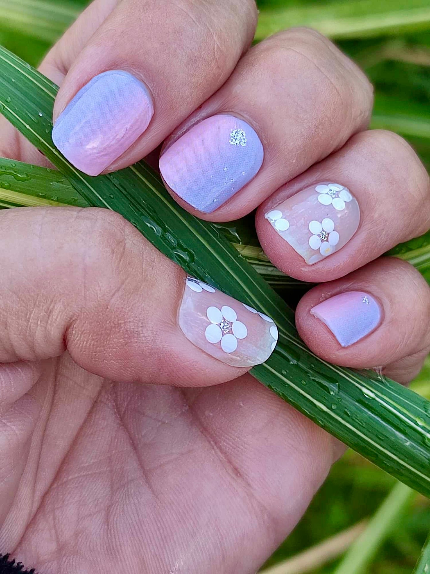 Jasmine 16er-Blush&Cherry - Blush and Cherry - Nagelfolien ohne UV