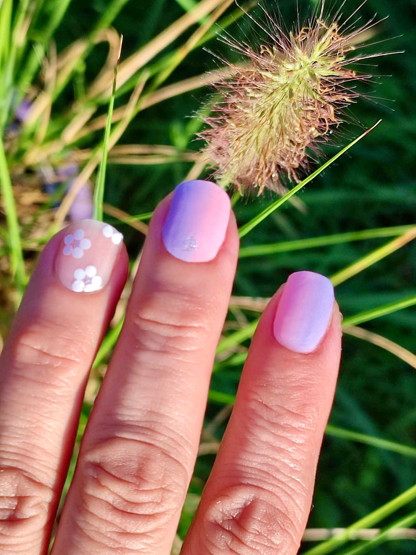 Jasmine 16er-Blush&Cherry - Blush and Cherry - Nagelfolien ohne UV