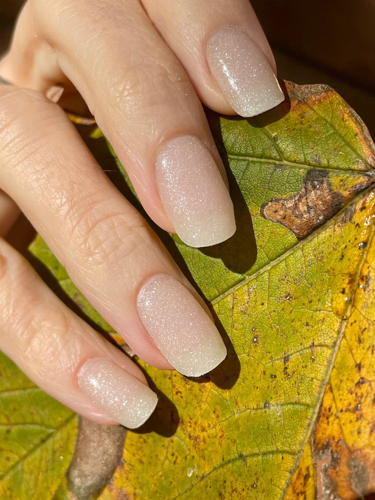 Snow White 16er-Blush&Cherry - Blush and Cherry - Nagelfolien ohne UV