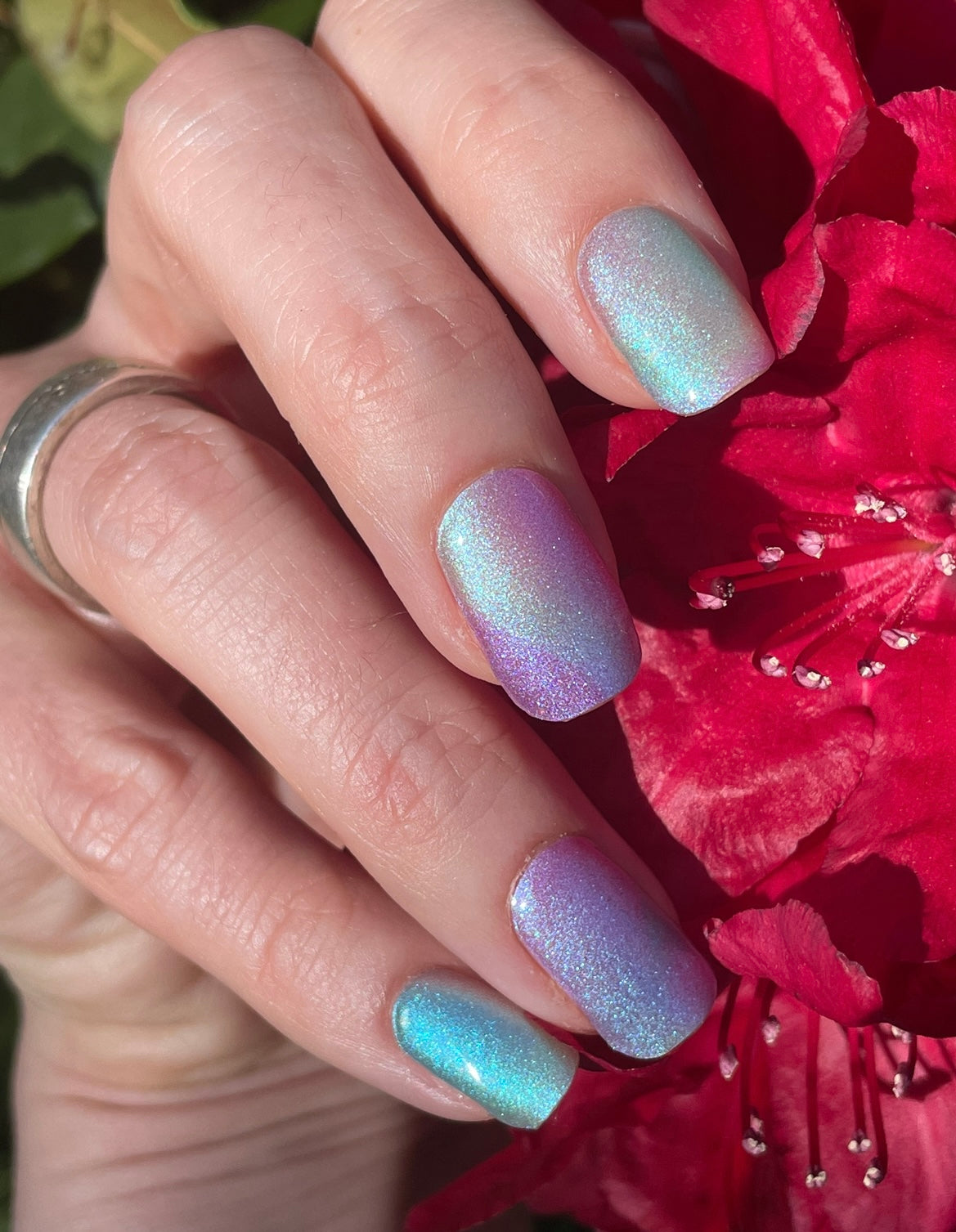 A Piece Of Prisma 16er-Blush&Cherry - Blush and Cherry - Nagelfolien ohne UV