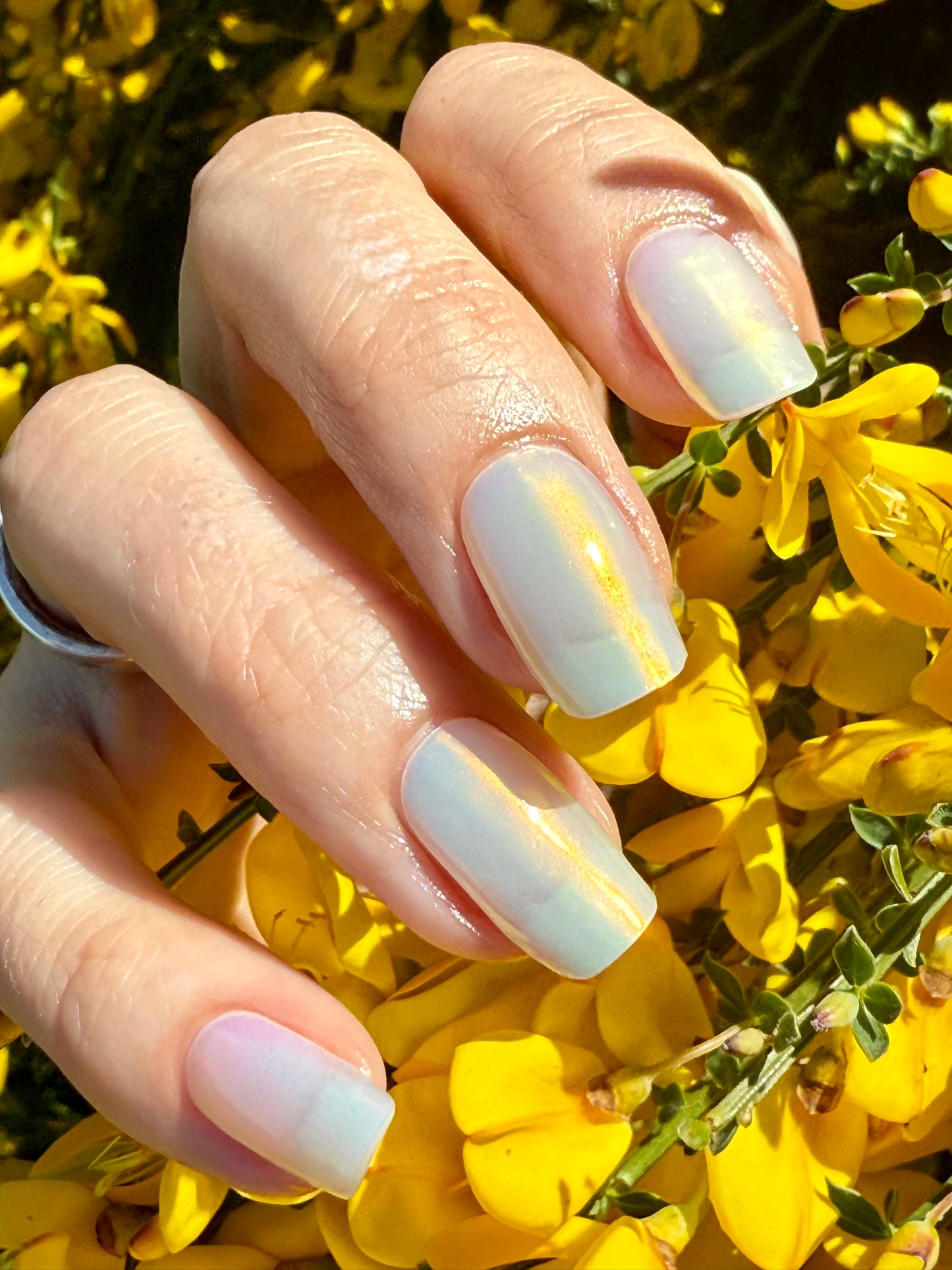 UV Mirror Gold 20er-Blush&Cherry-Blush and Cherry - UV Gel Folien