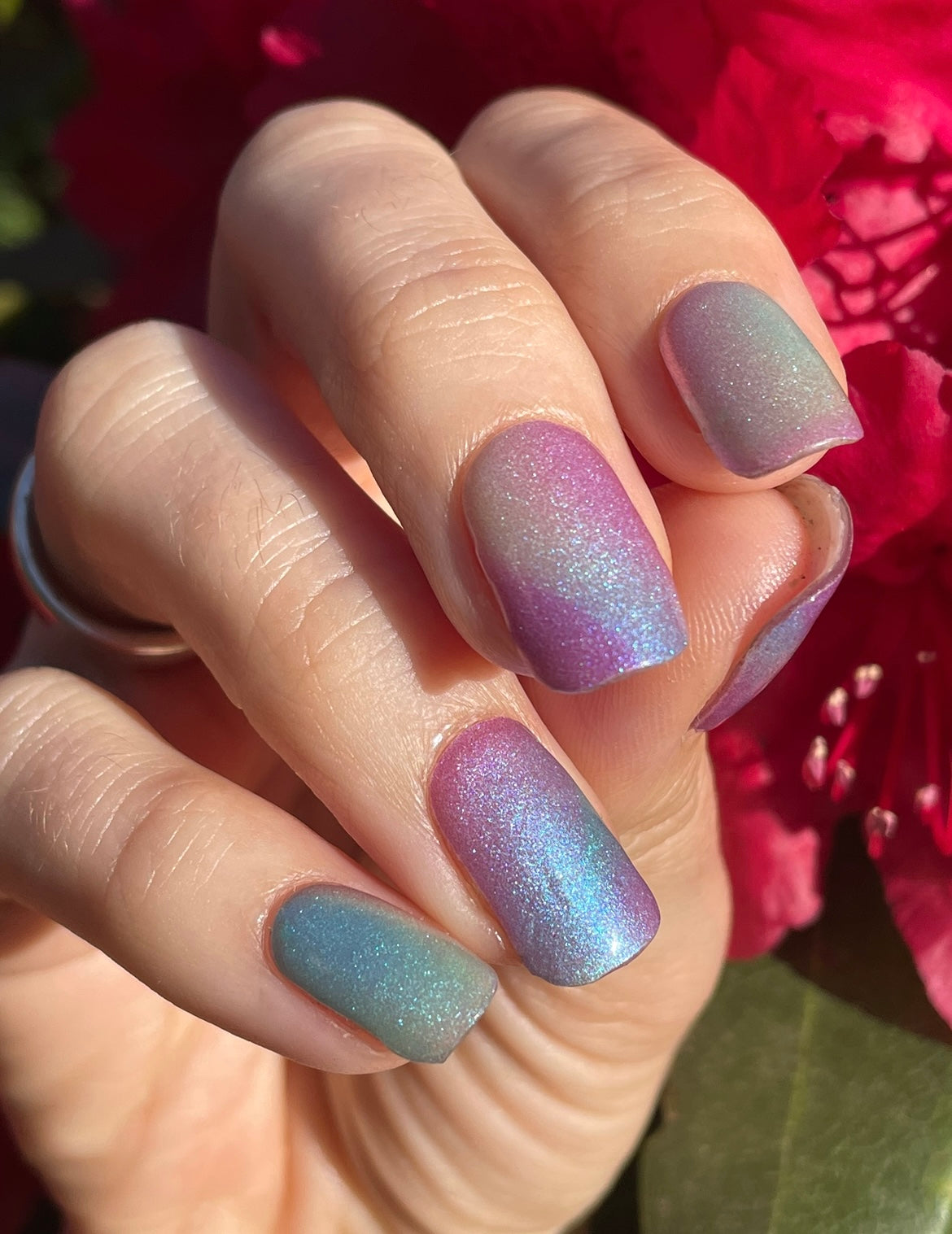 A Piece Of Prisma 16er-Blush&Cherry - Blush and Cherry - Nagelfolien ohne UV