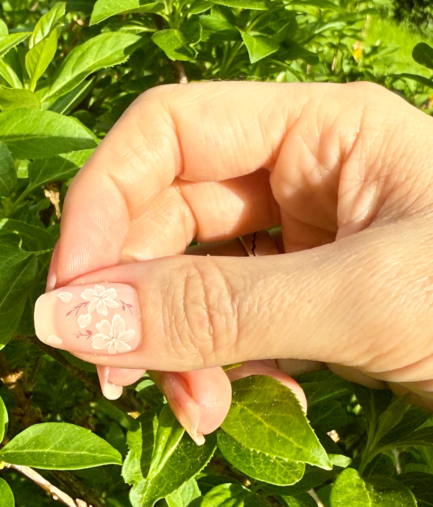 UV Linnea 16er-Blush&Cherry-Blush and Cherry - UV Gel Folien