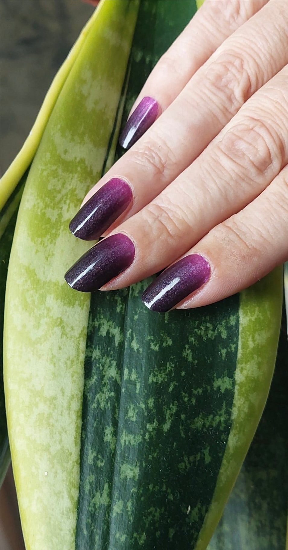 Graf Zahl 16er-Blush&Cherry - Blush and Cherry - Nagelfolien ohne UV
